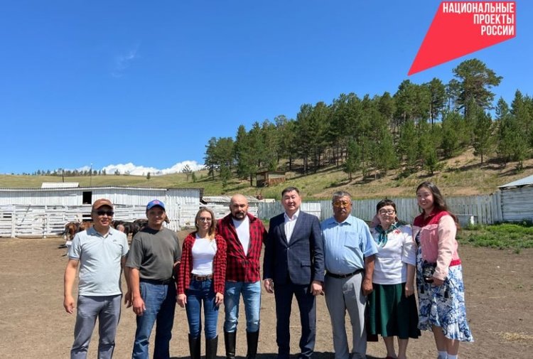    Консультативный совет по развитию коневодства создадут в Бурятии