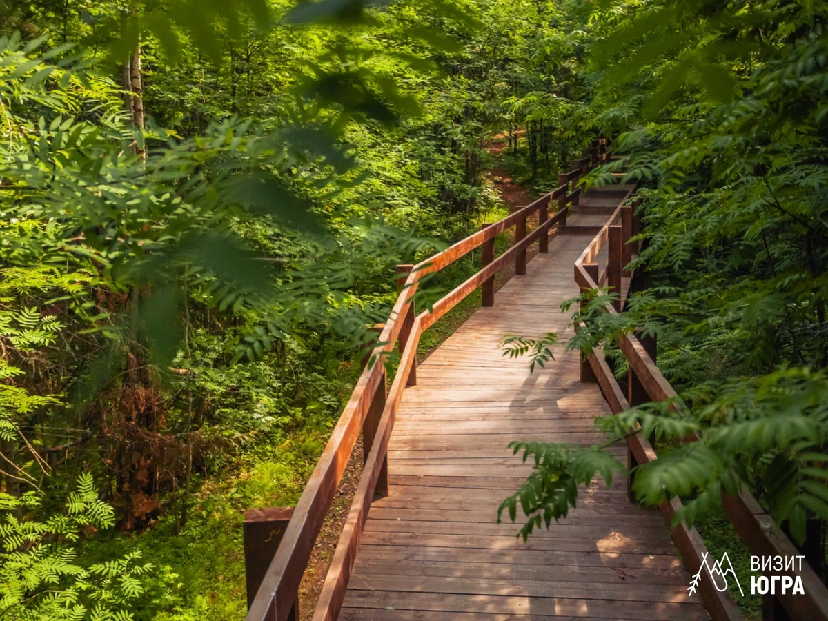 Фото: Природный парк «Самаровский чугас»