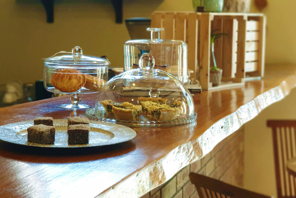      Tania Melnyczuk/Unsplash