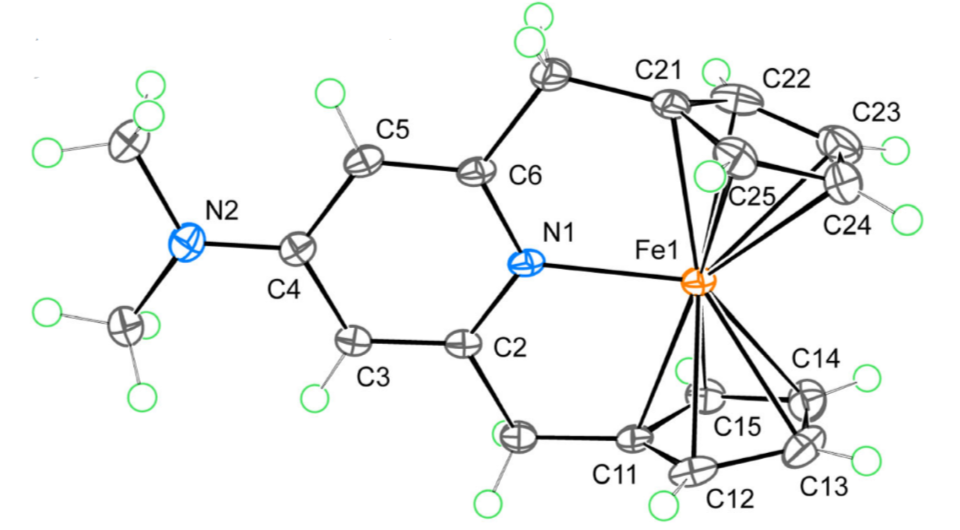   Satoshi Takebayashi et al. / Nature Communications, 2025