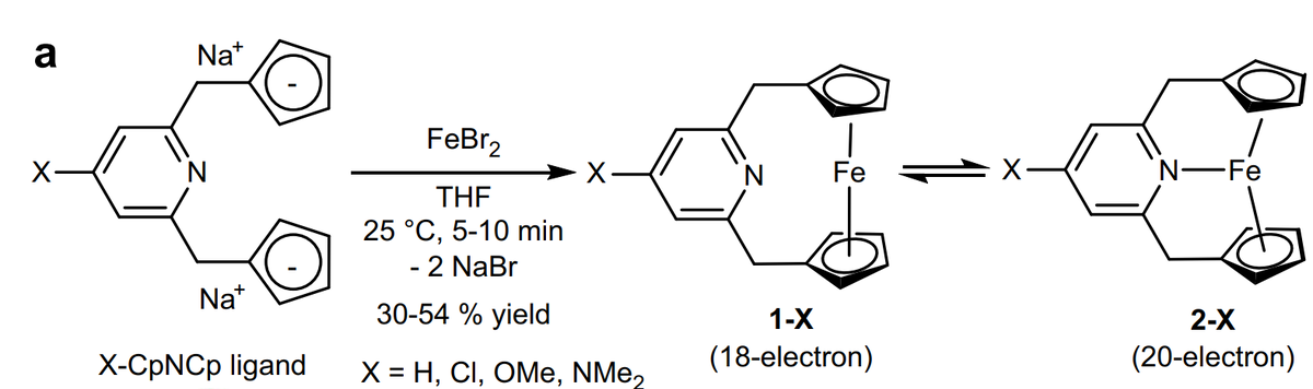   Satoshi Takebayashi et al. / Nature Communications, 2025