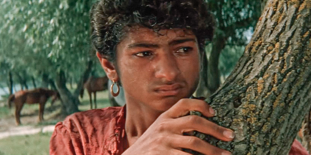 Пережила большое горе, ушёл из кино: что стало с «неуловимыми мстителями» после выхода трилогии