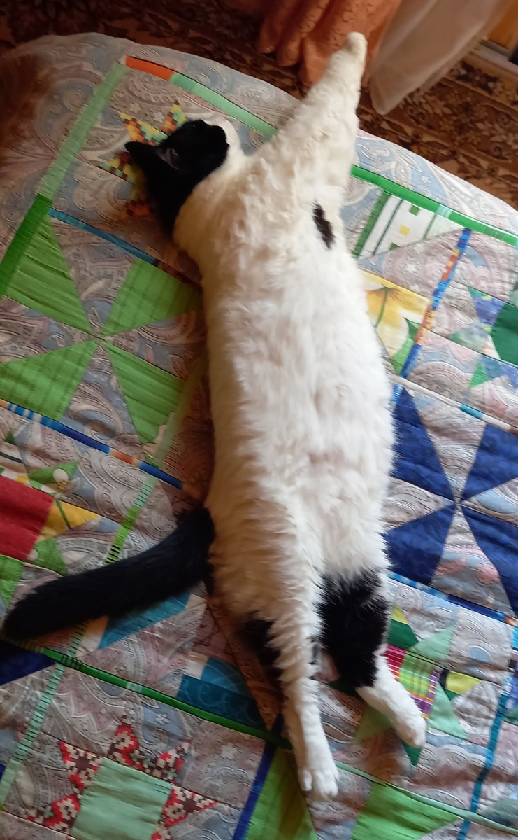 Фото автора