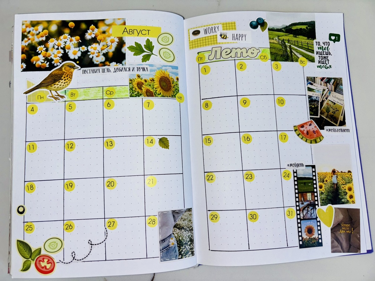 Мой Bullet Journal, август 2025 
