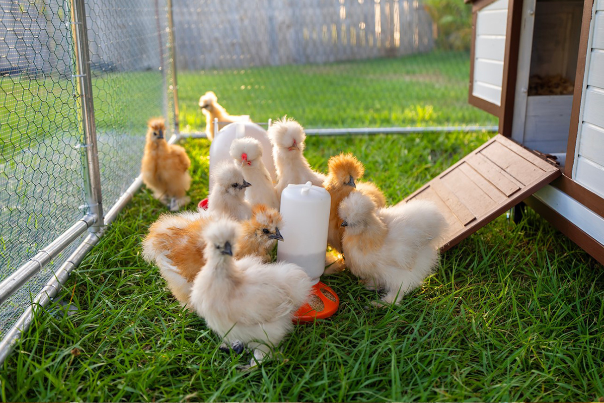    Bilanol / Shutterstock / FOTODOM