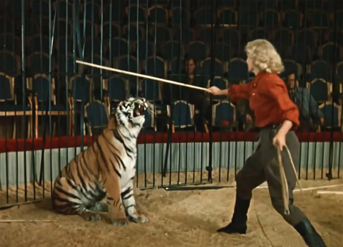 Кадр из фильма «Укротительница тигров», режиссёры Надежда Кошеверова и Александр Ивановский, 1954 г. Фото отсюда kazan-circus.ru