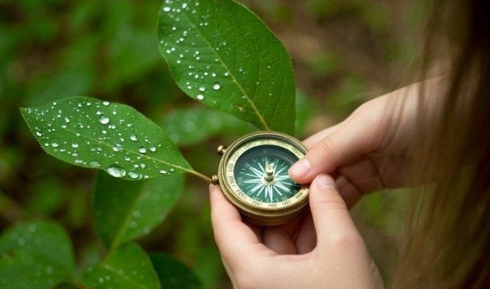 Лиза внимательно смотрит на компас