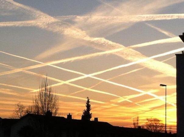 НЕБО В КЛЕТОЧКУ