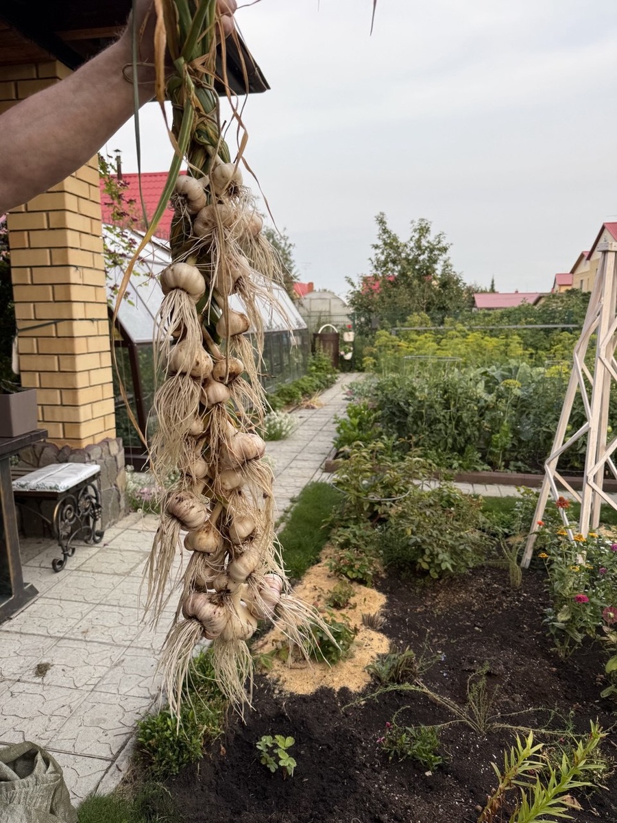 Фото автора канала Дом с кипарисами