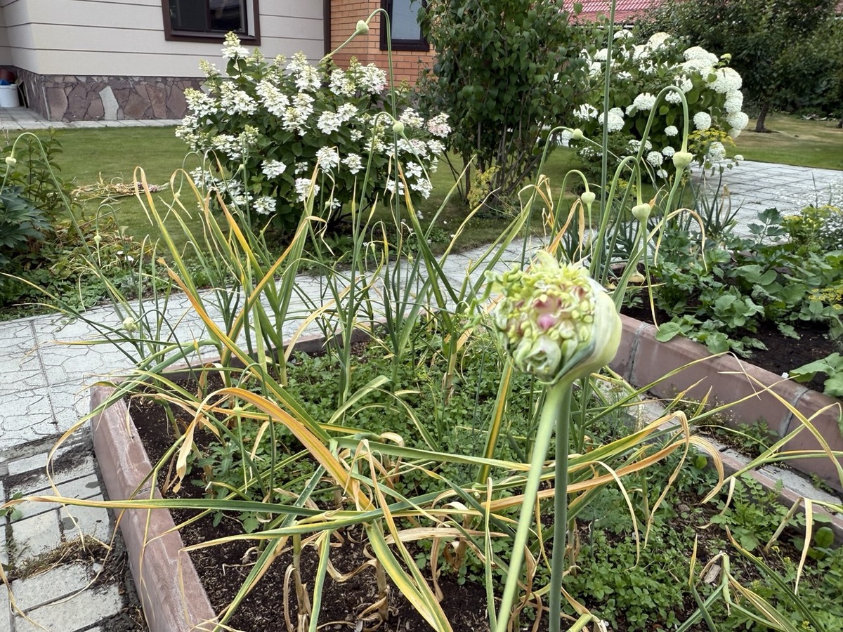 Фото автора канала Дом с кипарисами