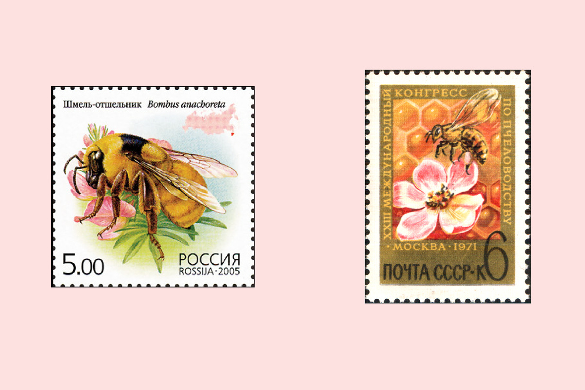 А это – уже более привычные марки. Российская – со Шмелем-отшельником (Bombus anachoreta), занесённым в Красную Книгу. Советская – с пчелой у яблоневого цветка