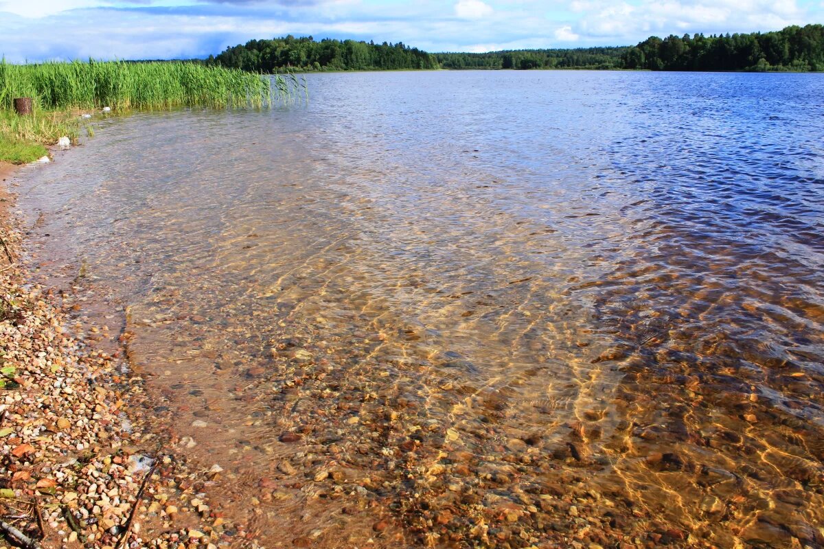    Суд обозначил границы водоохранной зоны смоленского озера Сапшо
