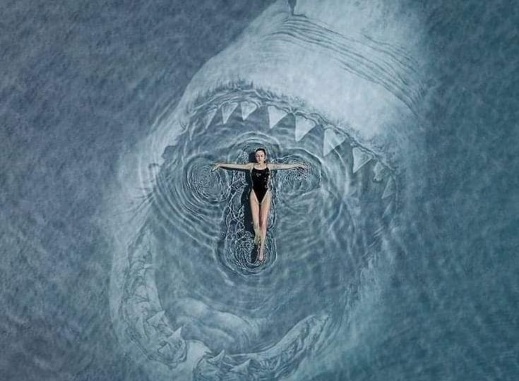 Как не стать едой на чужой территории.