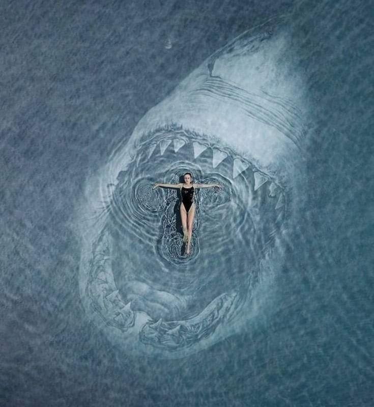 В любой стране, обществе, доме или организации есть свои правила. Незнание законов не освобождает от последствий и ответственности. 