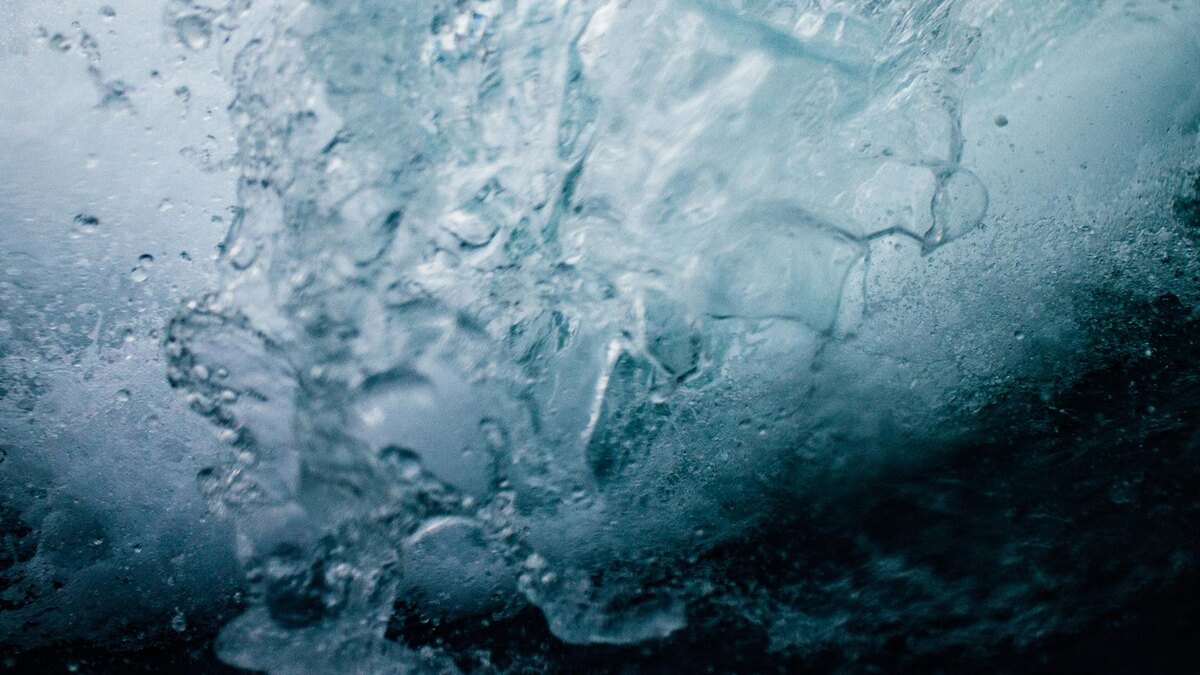    Фото: unsplash.com