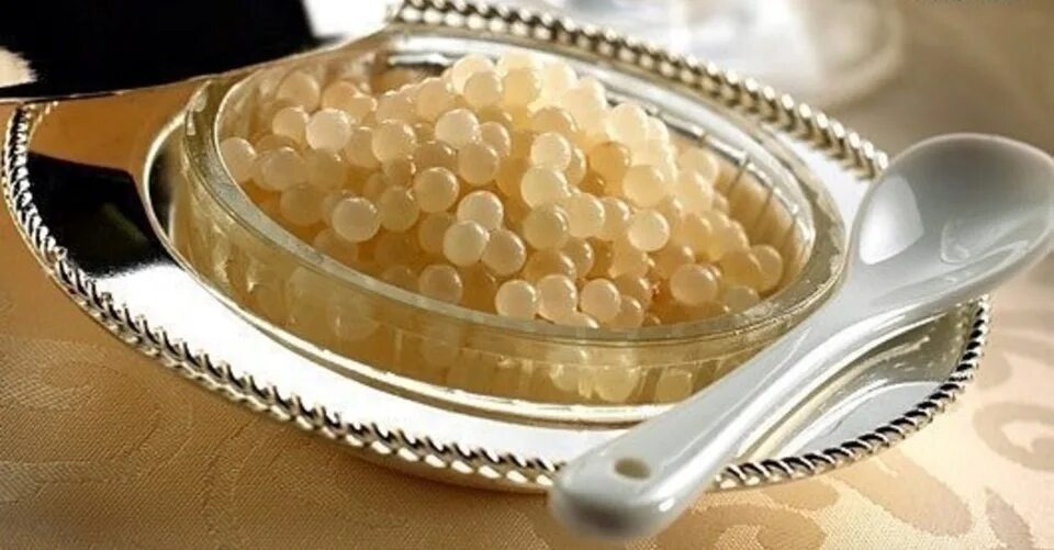 Золотая икра белуги-альбиноса    Фото из открытых источников