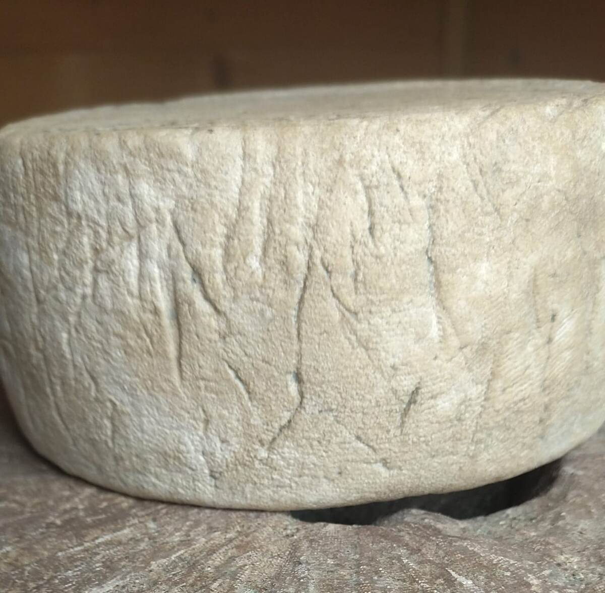 Томм в натуральной корочке