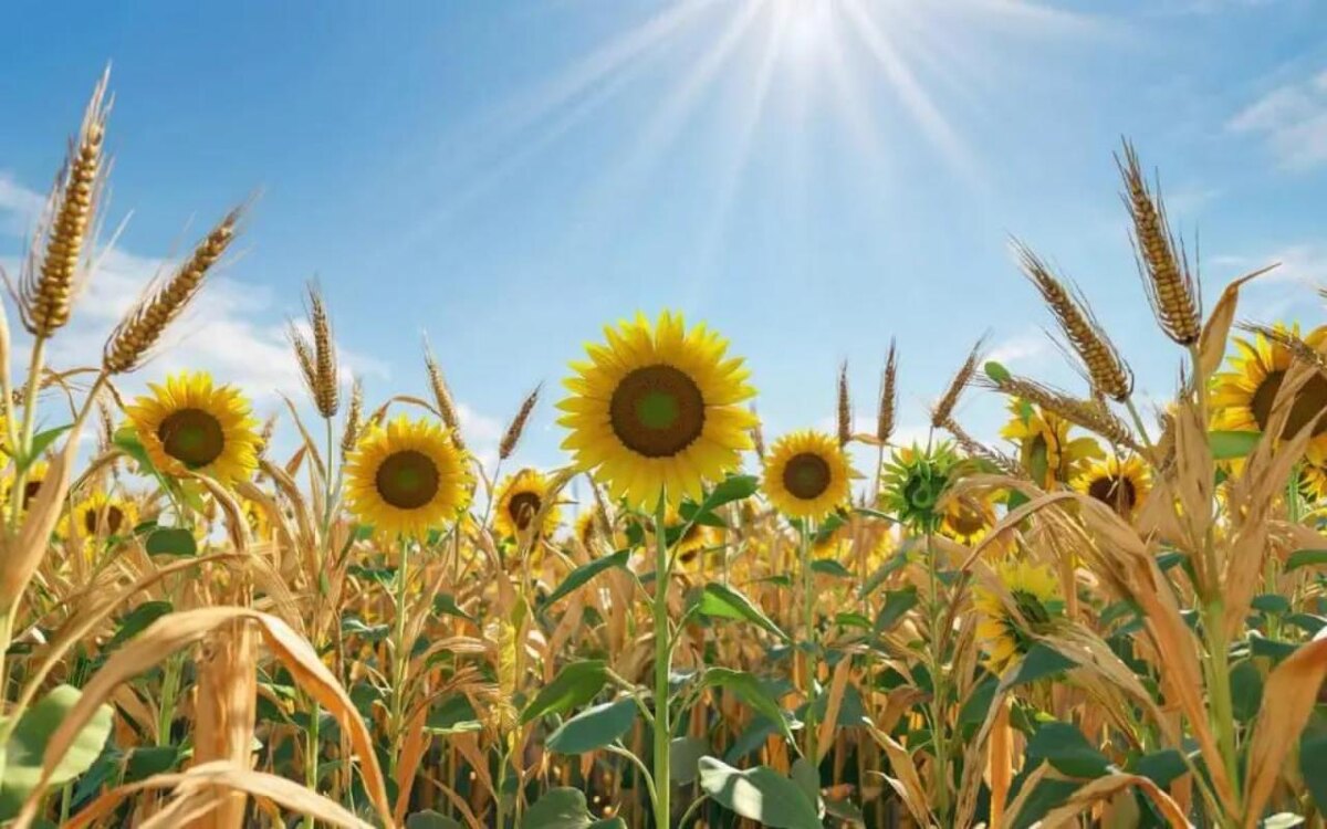    ФНС не смогла вмешаться в спор ГК «Благо» и саратовской компании почти на 1 млрд рублей Иллюстрация сгенерирована нейросетью Kandinsky