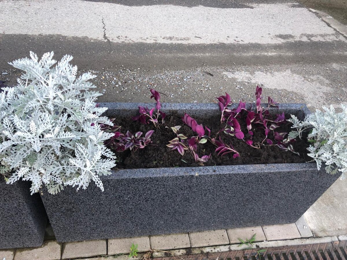    Фото: Telegram\МЦУ Сочи