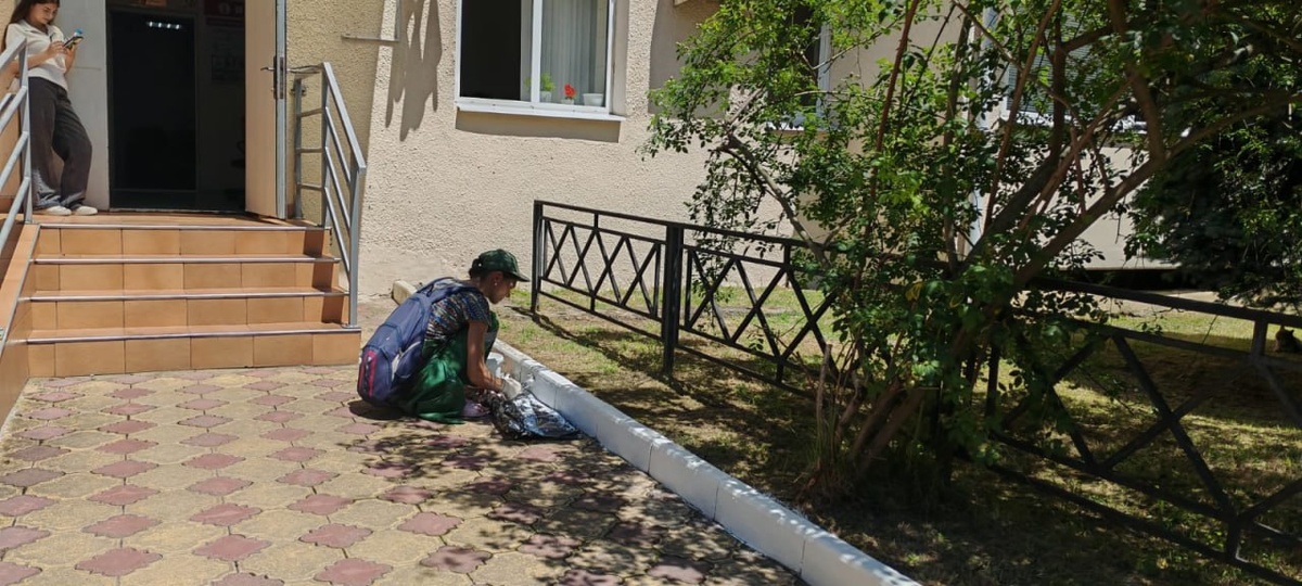    Фото: Telegram\МЦУ Сочи