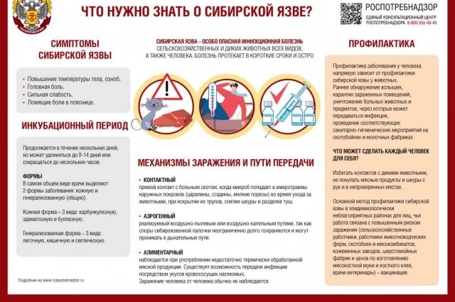    Фото: Управление Роспотребнадзора по Нижегородской области