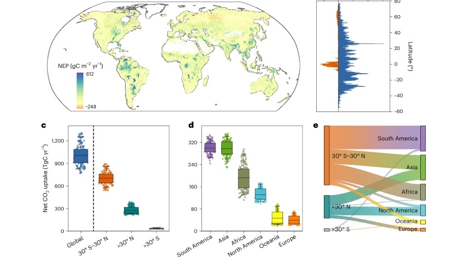   Junjie Li et al. / Nature Ecology & Evolution, 2025