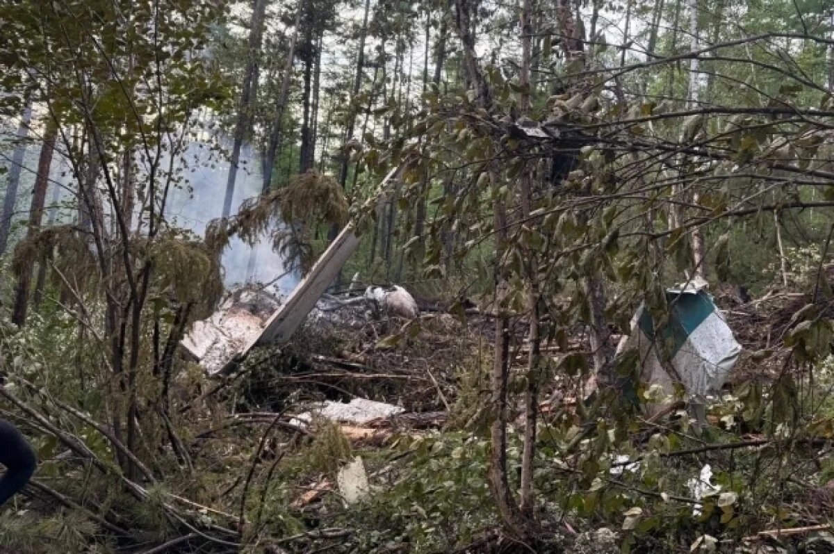    Тела погибших при крушении Ан-24 в Тынде извлекли из-под обломков