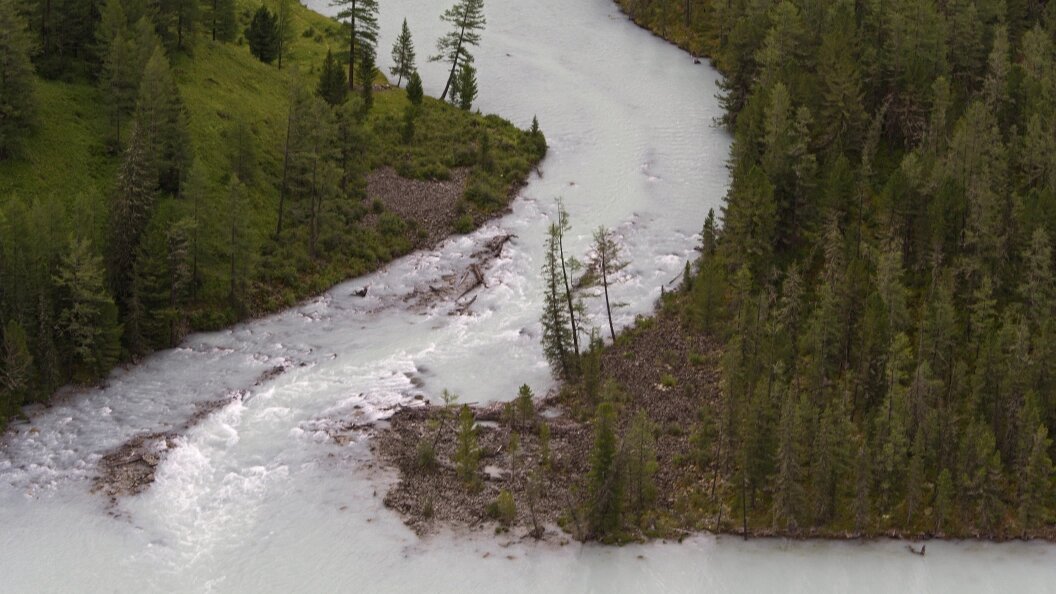    Фото: Serguei Fomine/Globallookpress