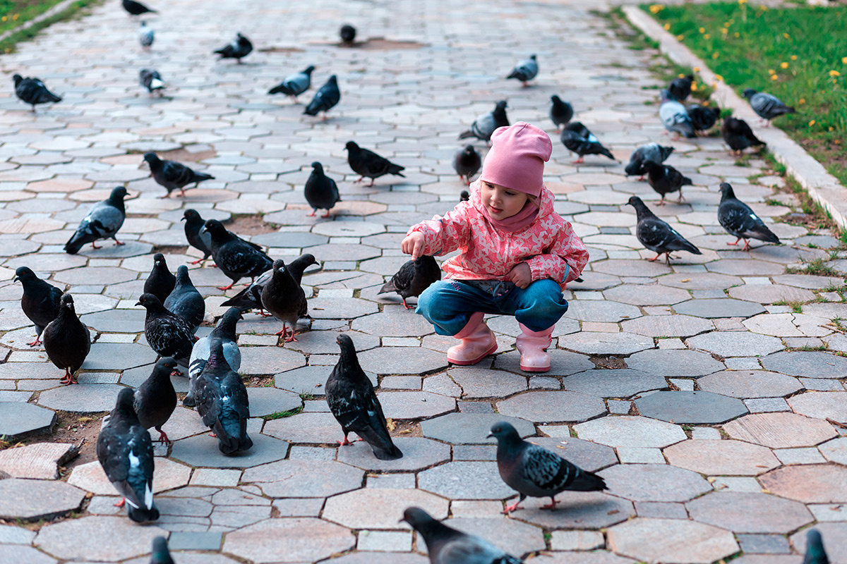    Фото: Chernyshov Konstantin / Shutterstock.com