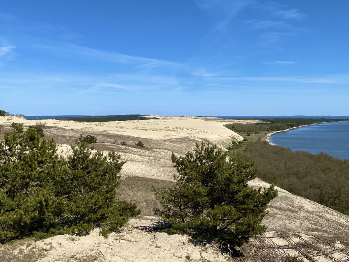 Удивительный ландшафт Куршской косы. Самая длинная песчаная пересыпь на планете
