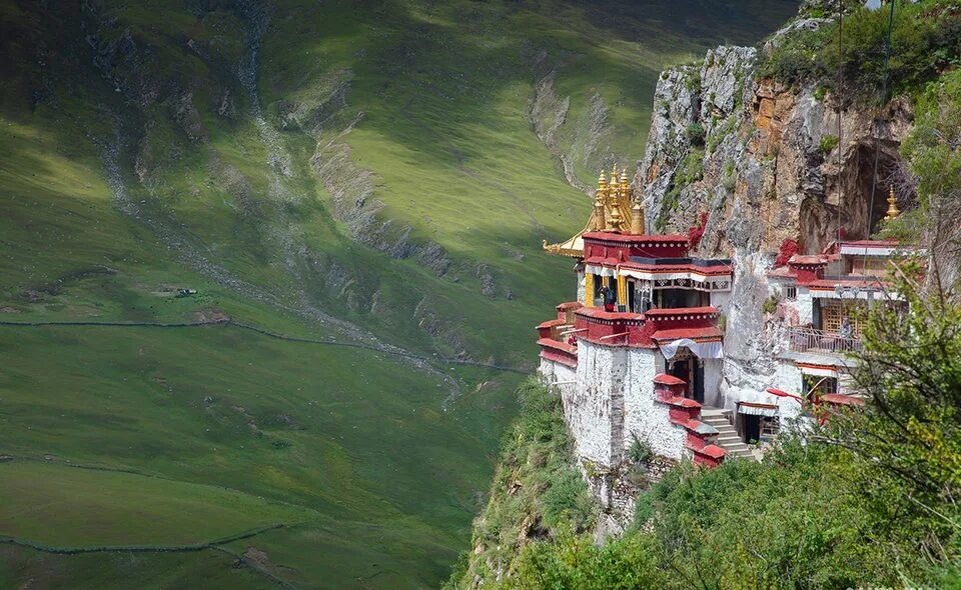 Фото из открытого источника 