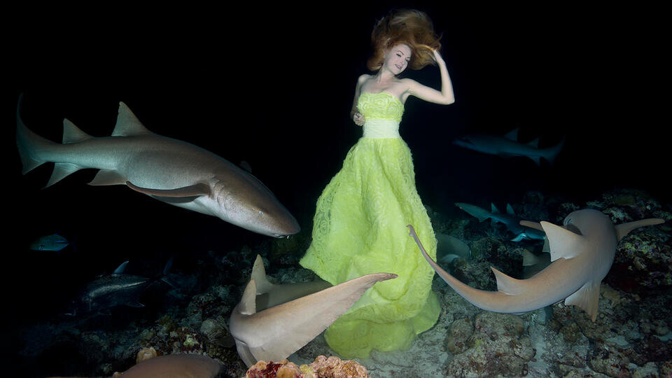 Фото: © www.globallookpress.com/Andrey Nekrasov/imageBROKER.com