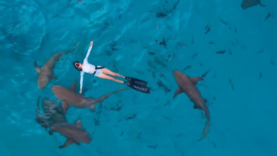 Фото: © Кадр из программы "Невероятно интересные истории", РЕН ТВ