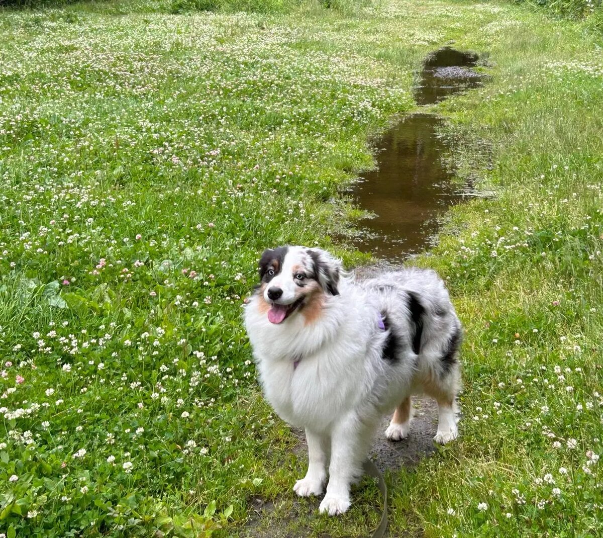    Фото: Мойка78