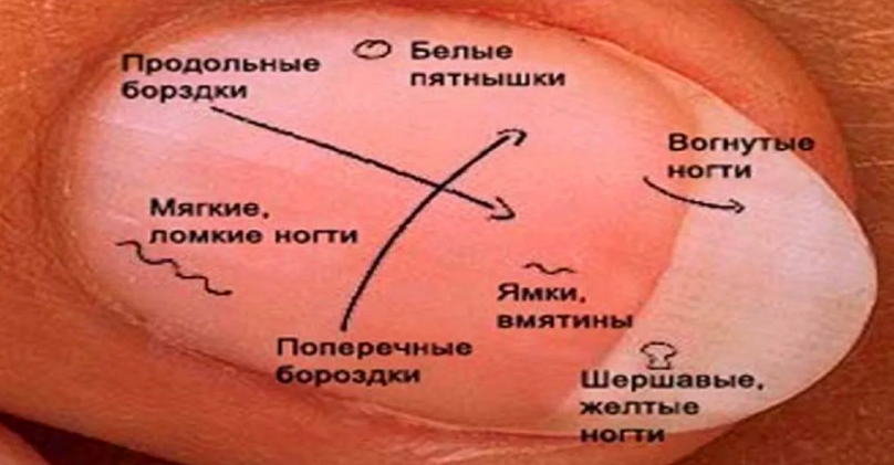 Фото в свободном доступе
