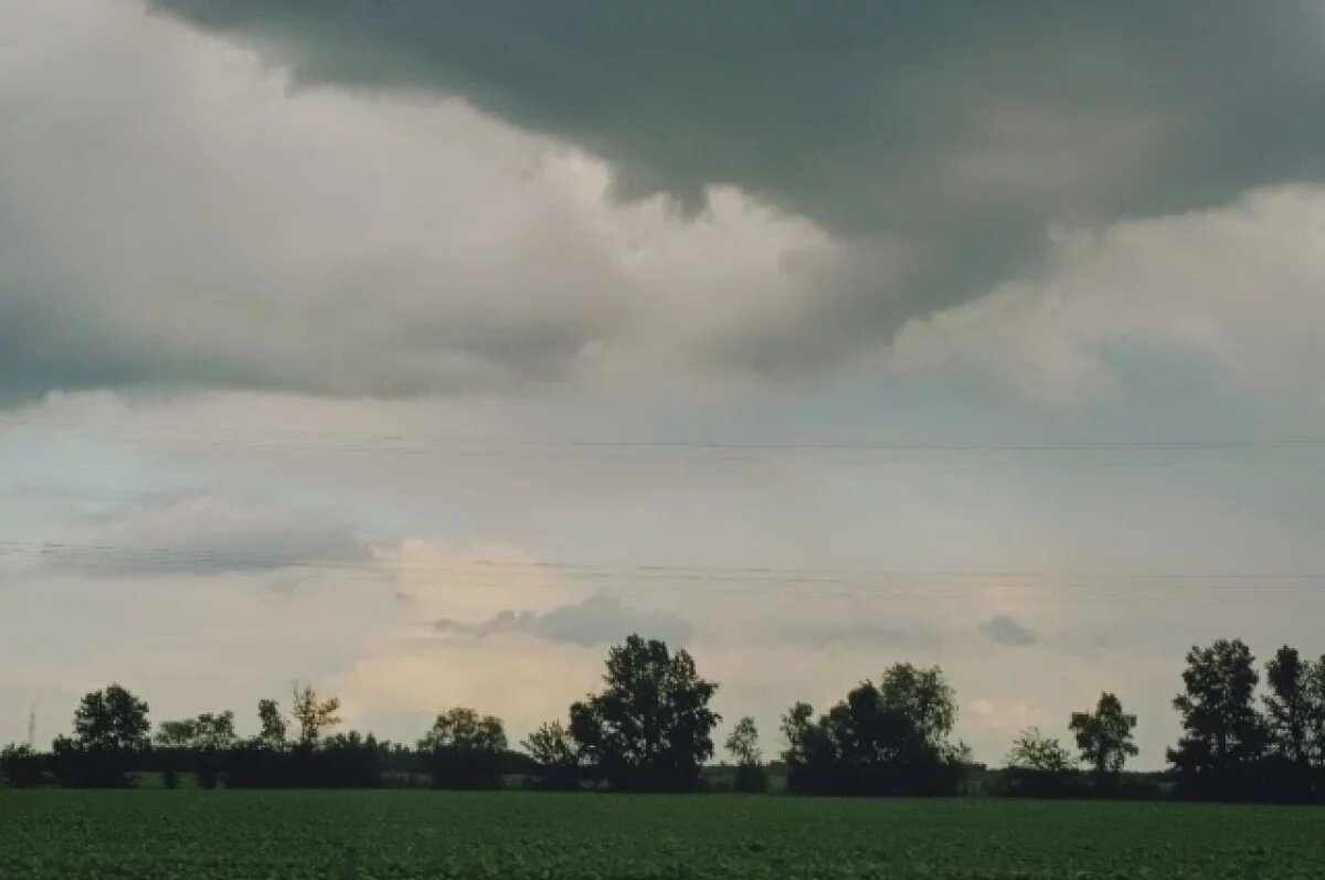    В Славянске-на-Кубани обезвредили неразорвавшийся БПЛА ВСУ