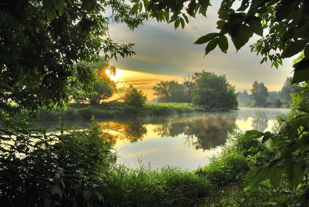 Фото Николая Заболоцкого