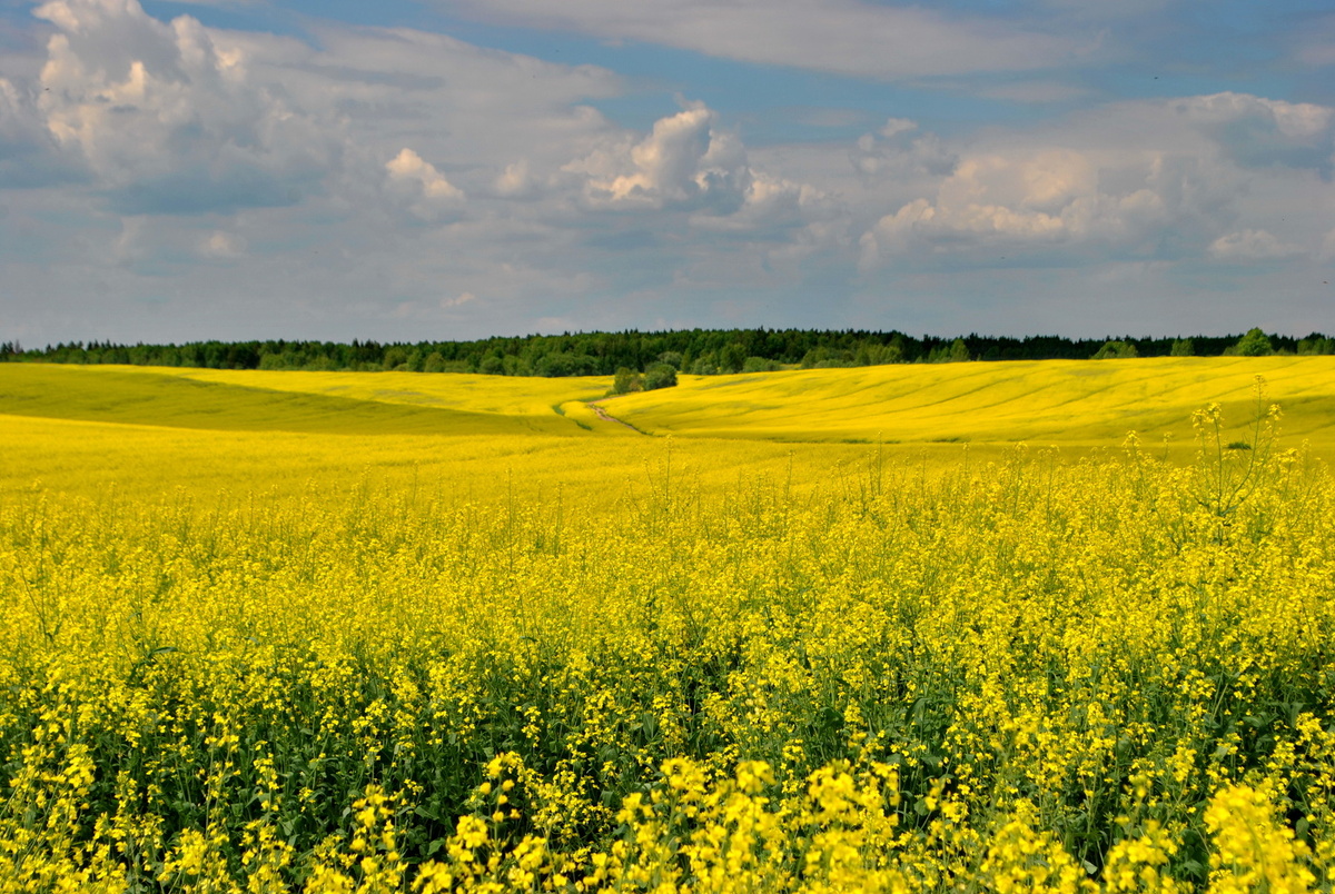 Фото с сайта photocentra.ru