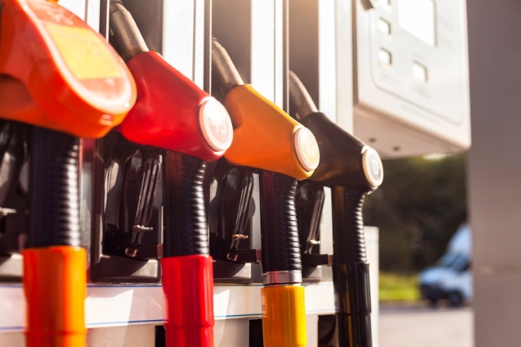 Фото: © Aleksandr Golubev / Фотобанк Лори