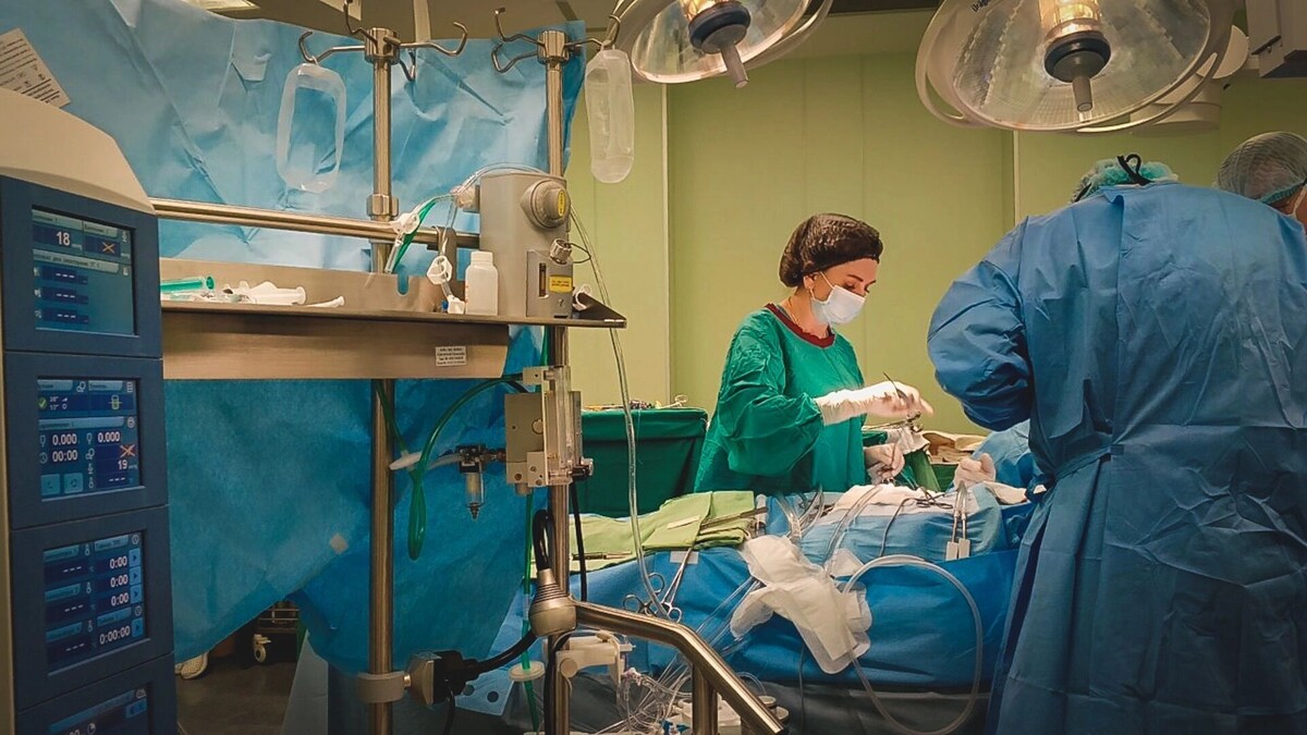     Источник: 1MI