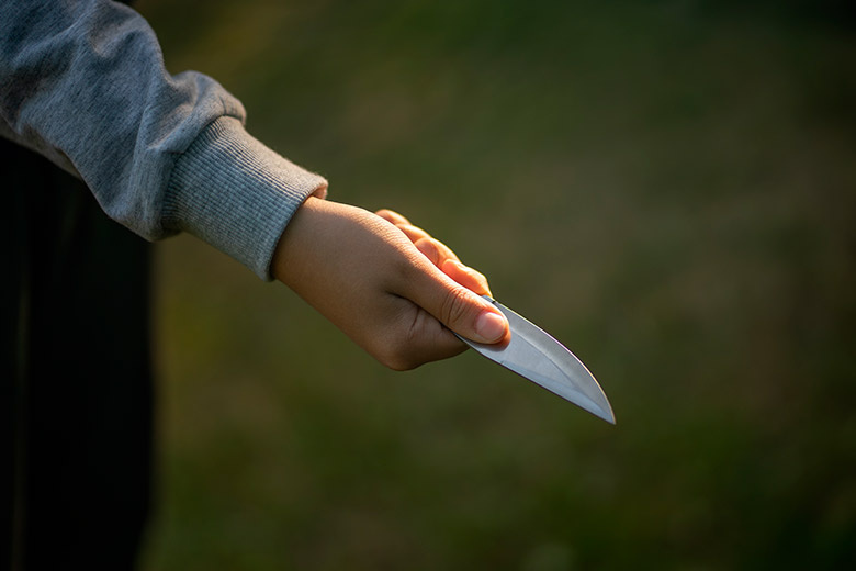    Shutterstock/FOTODOM