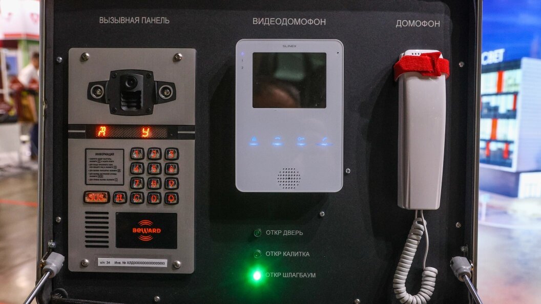    Фото: Вulkin Sergey/Globallookpress