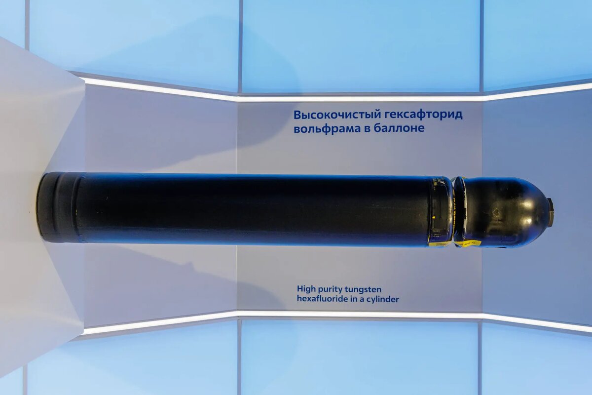    Фото: naked-science.ru Мария Михайлова