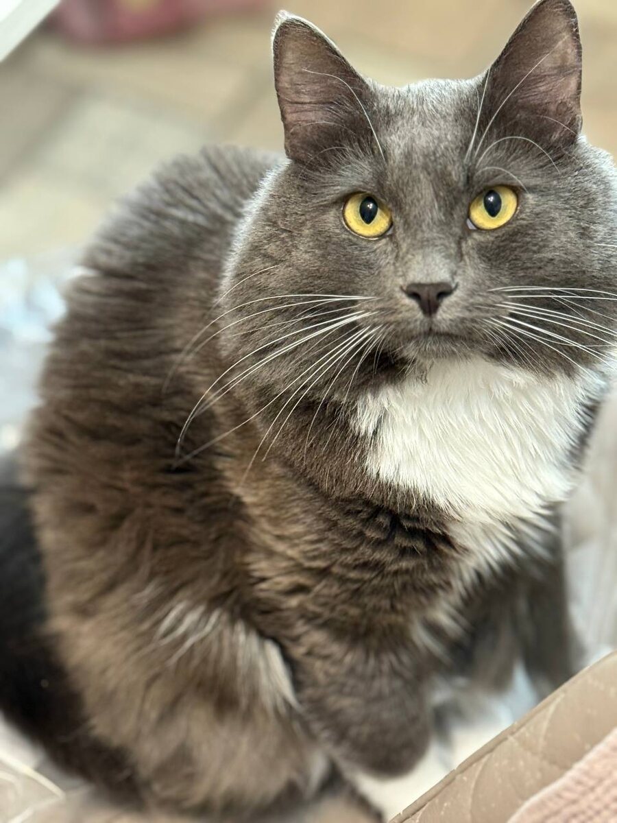 Фото автора канала. 