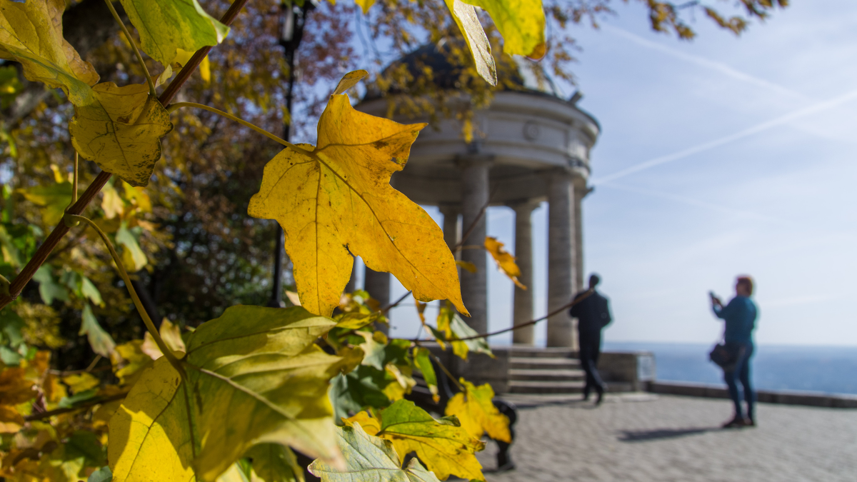 Фото: Иван Губский/ТАСС