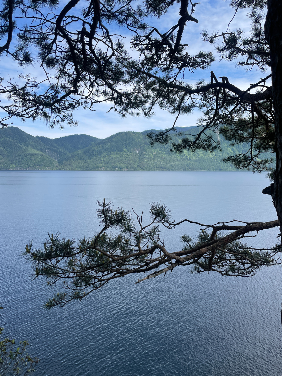 Смотровая на Телецкое озеро