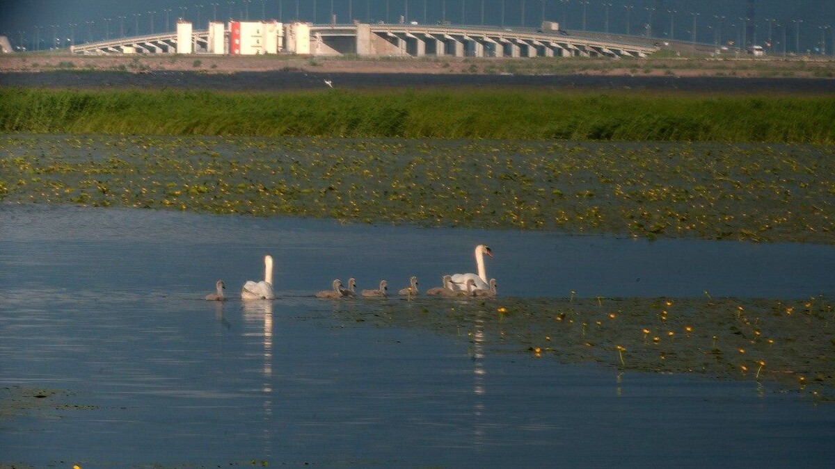     Источник: t.me/kazdoytvaripopare