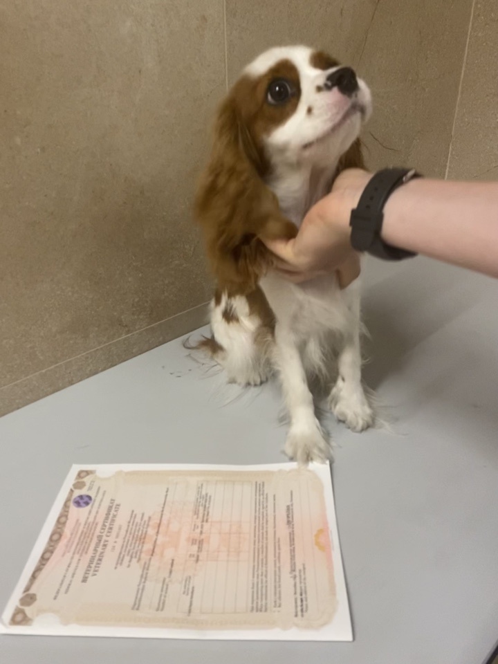    Фото: Россельхознадзор по Красноярскому краю