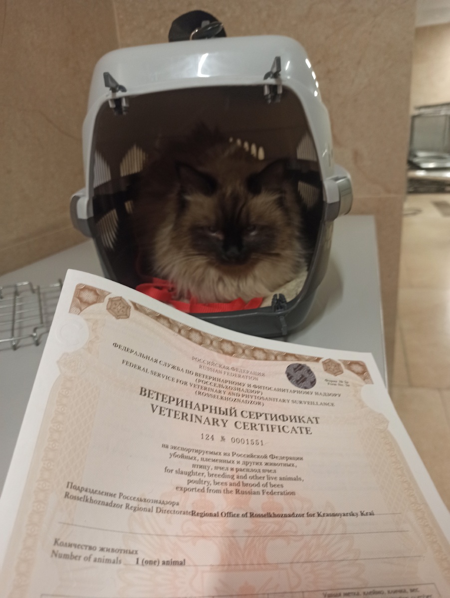    Фото: Россельхознадзор по Красноярскому краю