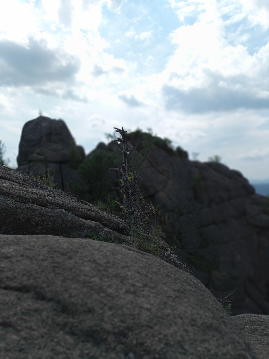 Фото из личного архива